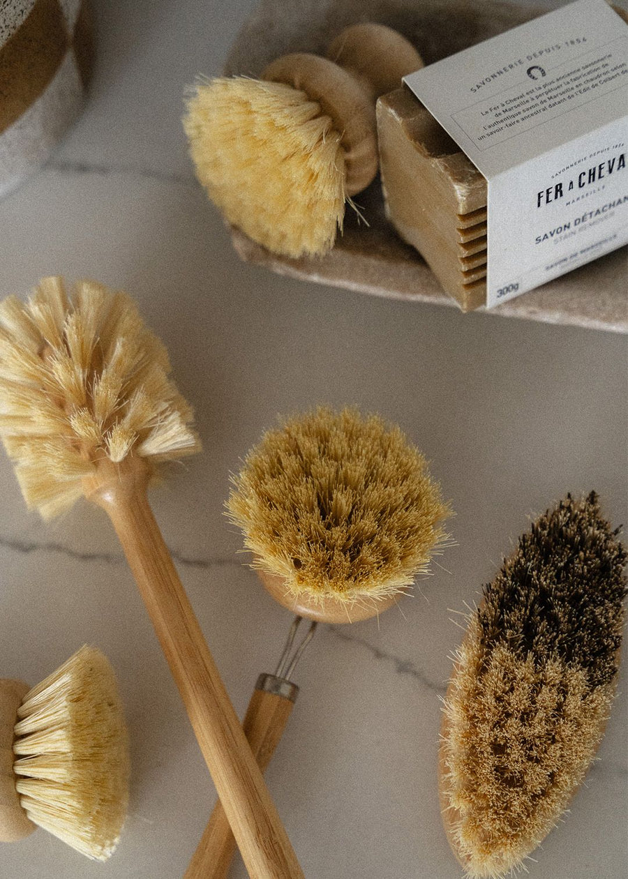 Multipurpose Brush with Long Wooden Handle