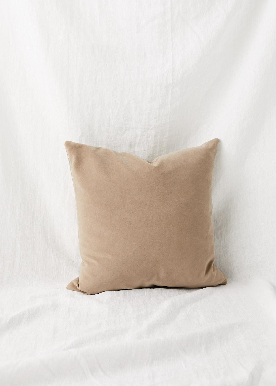 Custom Latte Velvet Pillow 20x20